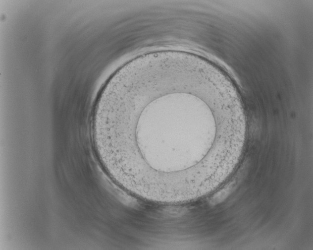 X0000067911514200605111929