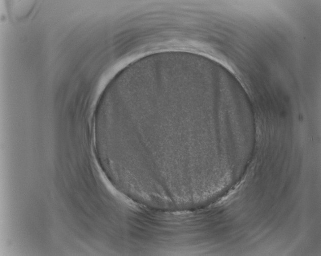 X0000067911515200605111929