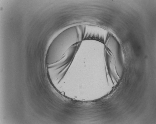 X0000067911516200605111930