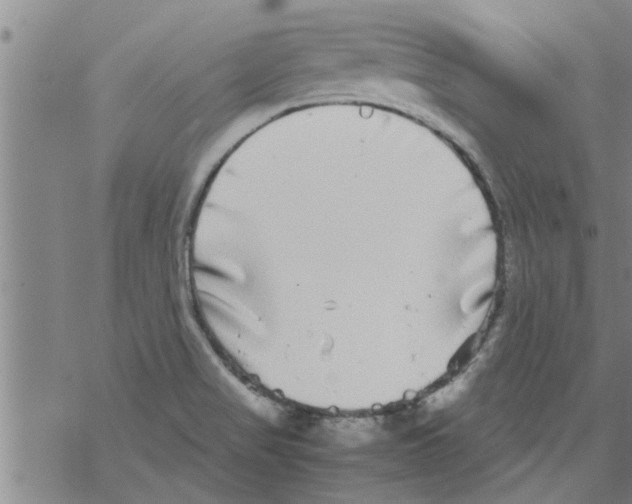 X0000067911517200605111930