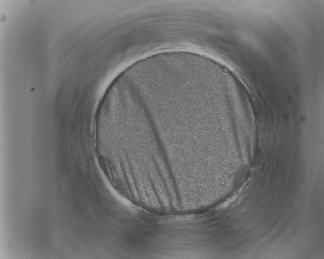 X0000067911519200605111930