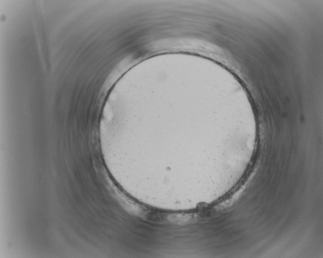 X0000067911521200605111930