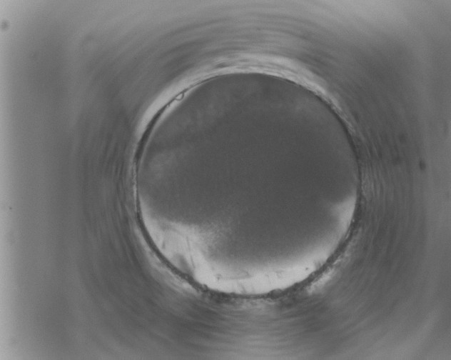 X0000067911522200605111930