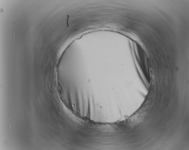 X0000067911524200605111930