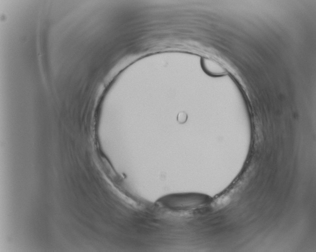 X0000067911525200605111930