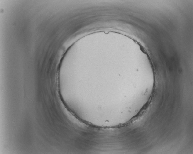 X0000067911526200605111930