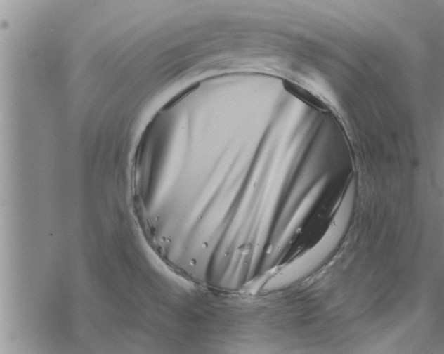 X0000067911528200605111930