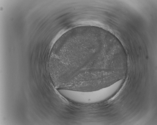 X0000067911529200605111930