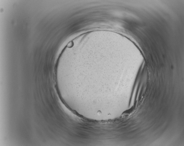 X0000067911531200605111930