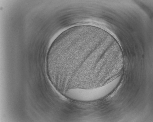 X0000067911533200605111930