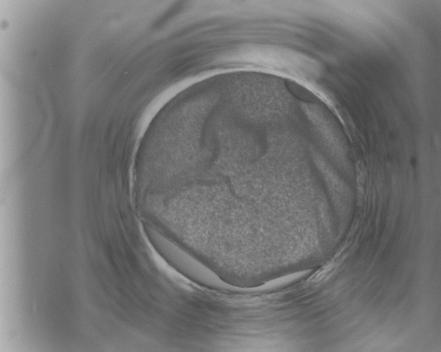 X0000067911535200605111930