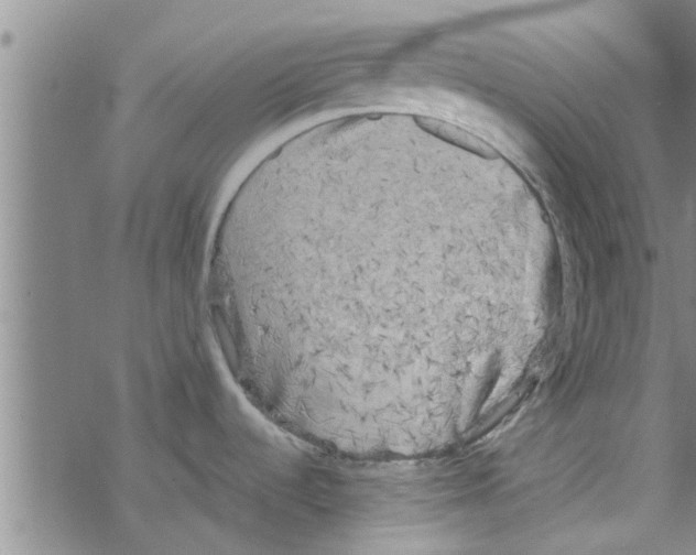 X0000067911536200605111930