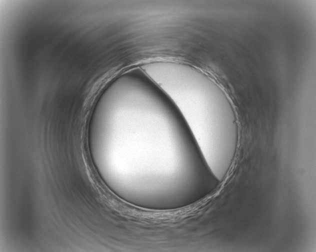 X0000067920001200604131147