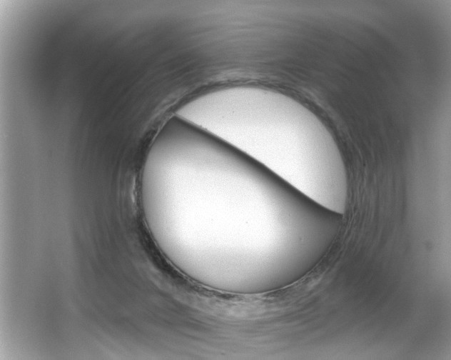 X0000067920024200604131146