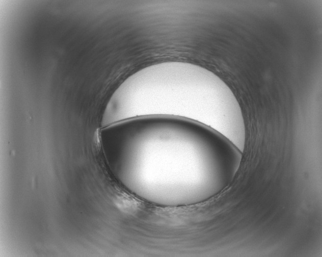 X0000067920041200604131146