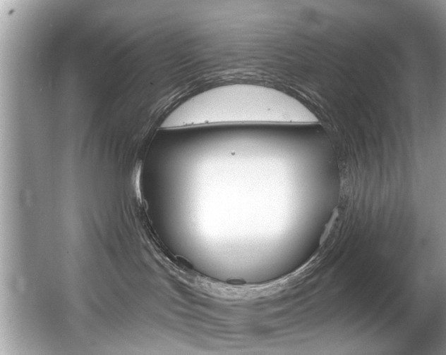 X0000067920047200604131146
