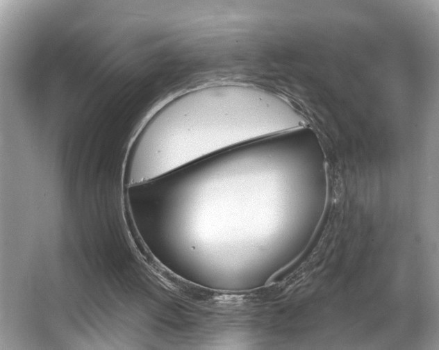 X0000067920052200604131145