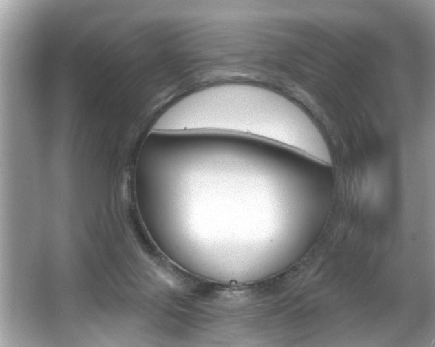 X0000067920071200604131145