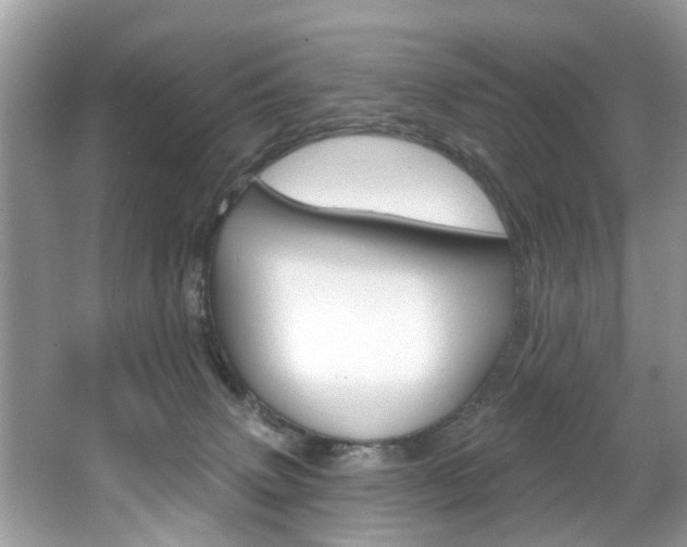 X0000067920083200604131146