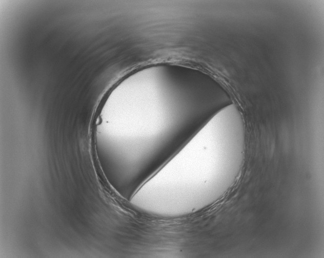X0000067920100200604131145