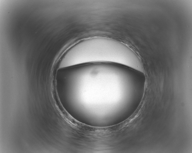 X0000067920101200604131145