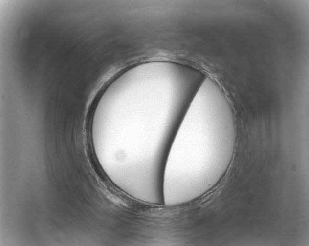X0000067920102200604131145