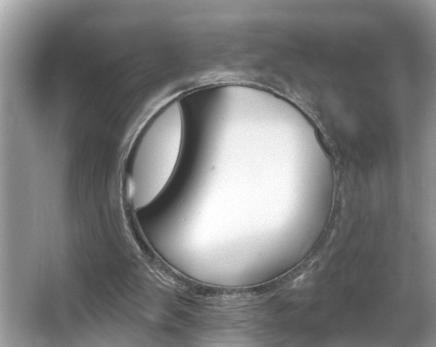 X0000067920103200604131145
