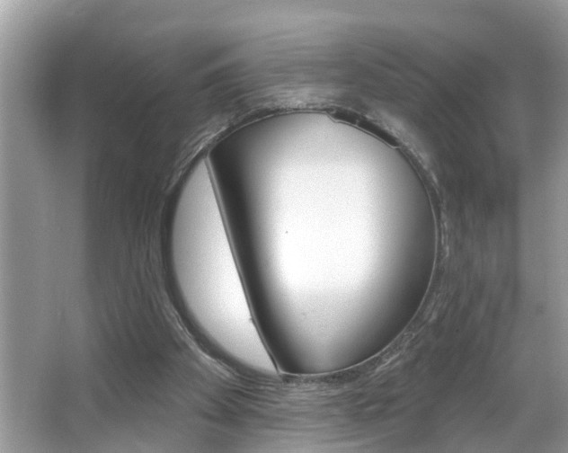X0000067920105200604131145