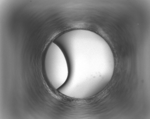 X0000067920106200604131145