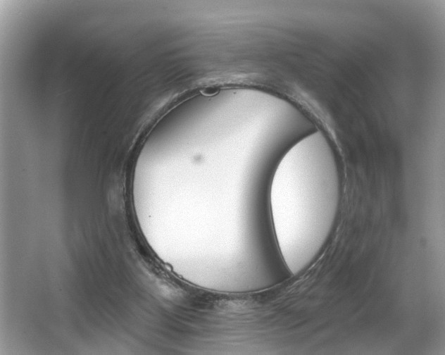 X0000067920107200604131145