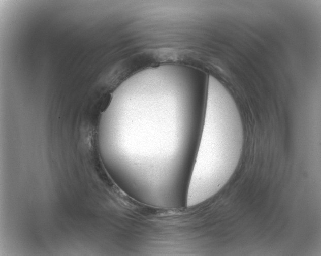 X0000067920125200604131144