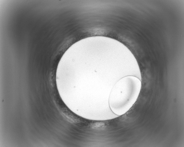 X0000067920162200604131143