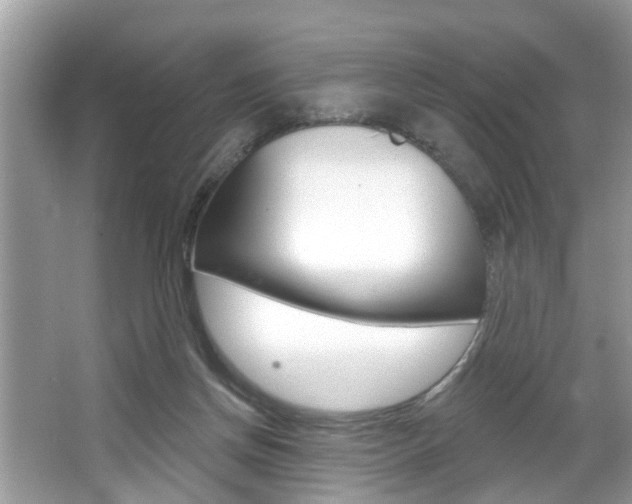 X0000067920166200604131144