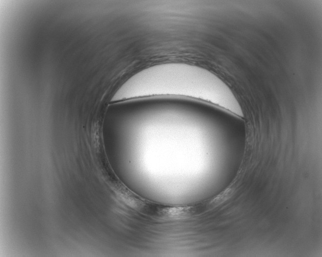 X0000067920184200604131144