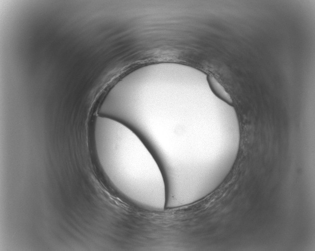X0000067920194200604131143