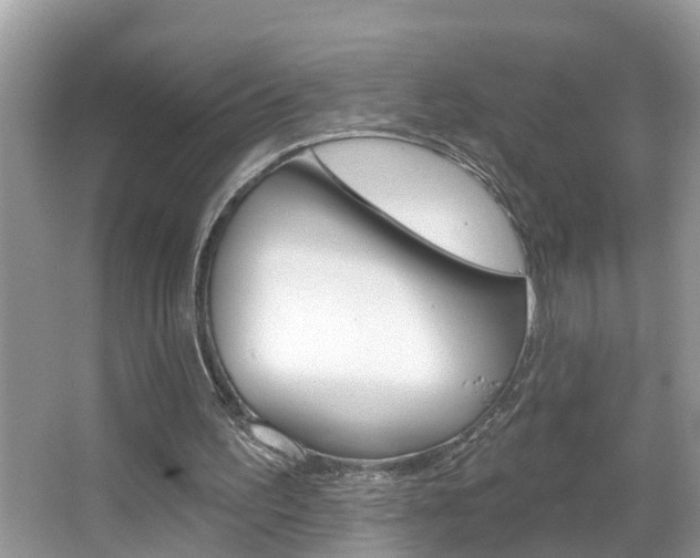 X0000067920195200604131143