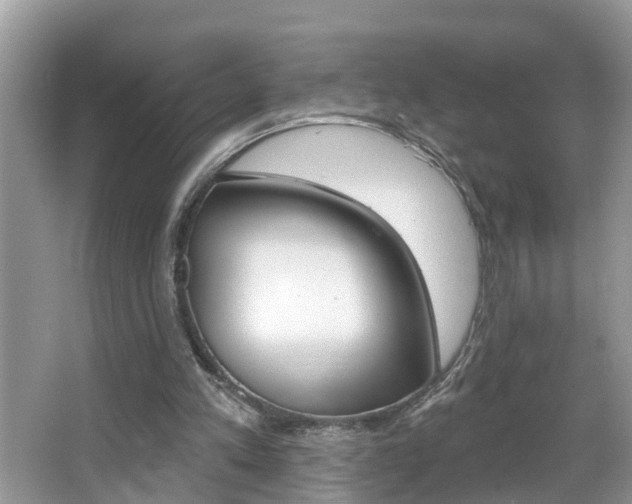X0000067920197200604131143