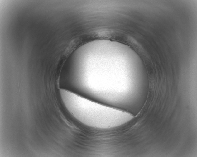 X0000067920213200604131143