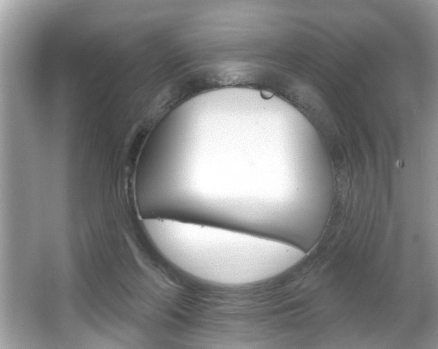X0000067920214200604131143