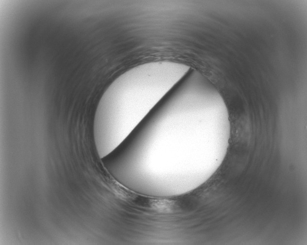 X0000067920226200604131143