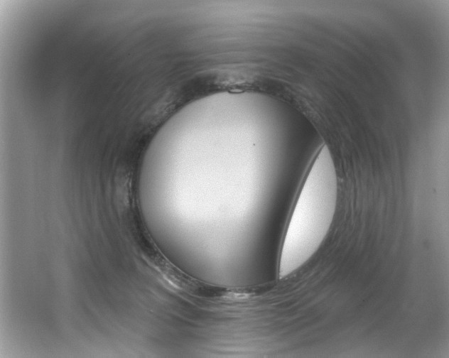 X0000067920227200604131143