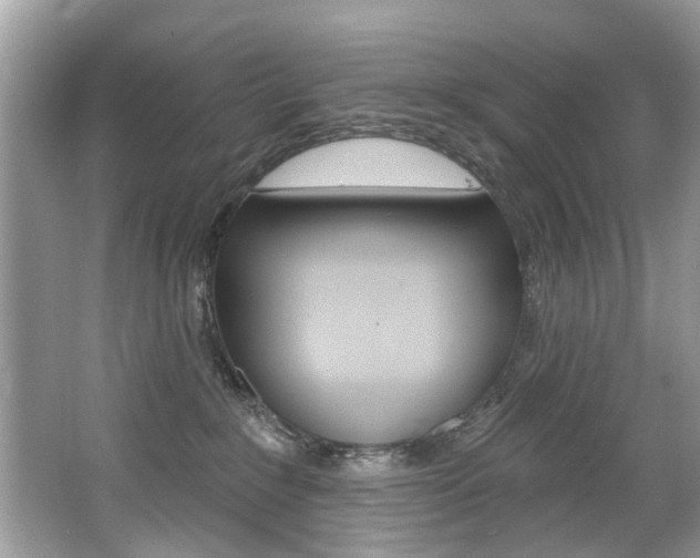 X0000067920235200604131142