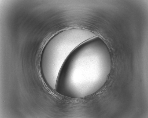 X0000067920241200604131142