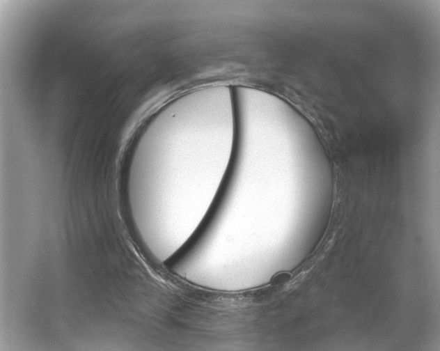X0000067920245200604131142