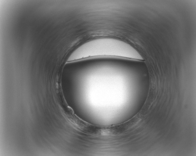X0000067920264200604131142