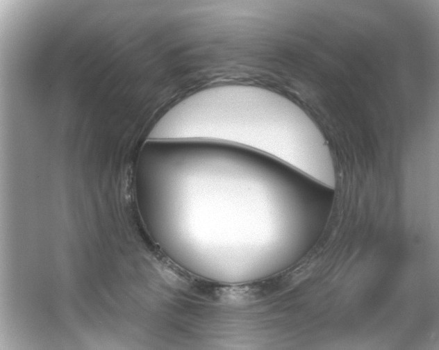 X0000067920273200604131142