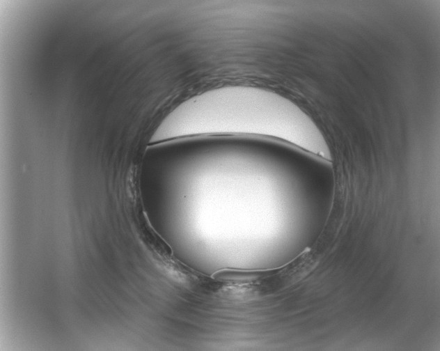X0000067920280200604131142