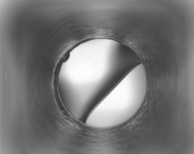 X0000067920292200604131142