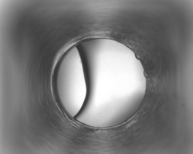X0000067920294200604131141