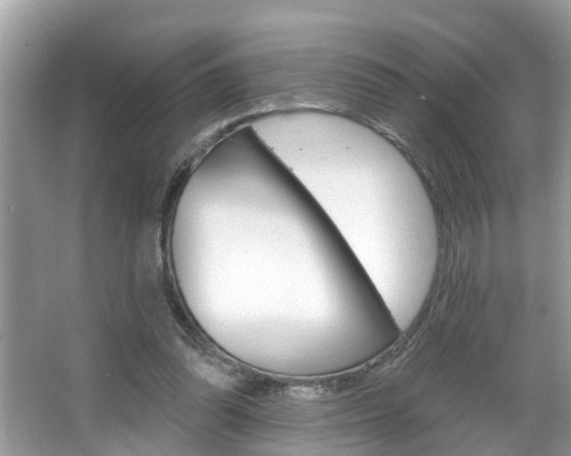 X0000067920302200604131141